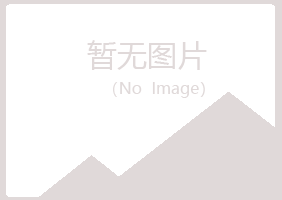 韶关曲江夏日咨询有限公司